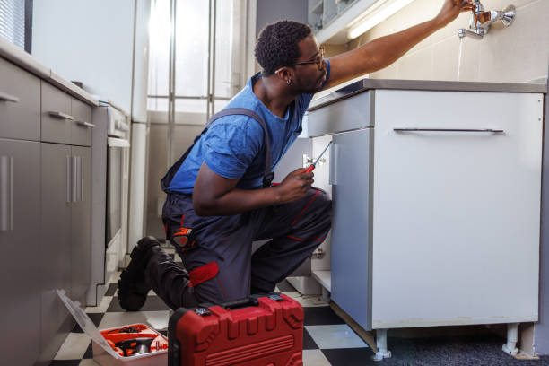 Best Shower Repair Services  in North Mankato, MN