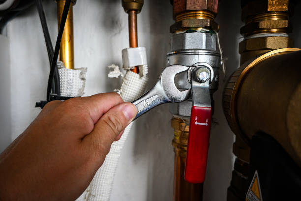 Best Local Plumber Services  in North Mankato, MN